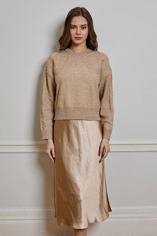 Bee Sweater/Dress Combo