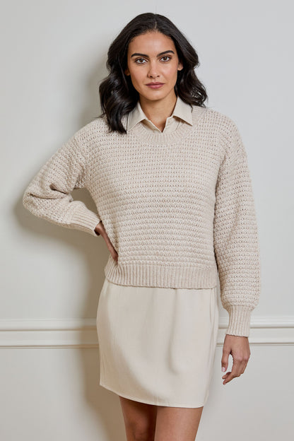 Sab Sweater/Dress Combo